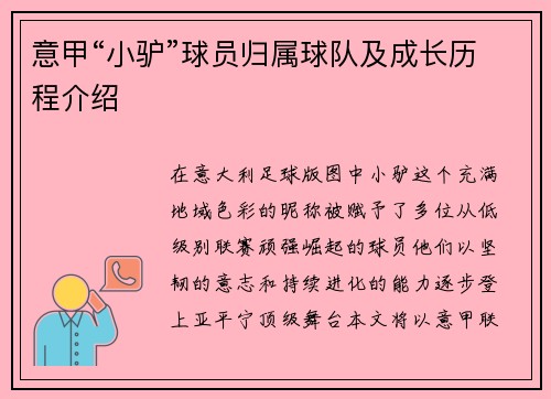意甲“小驴”球员归属球队及成长历程介绍